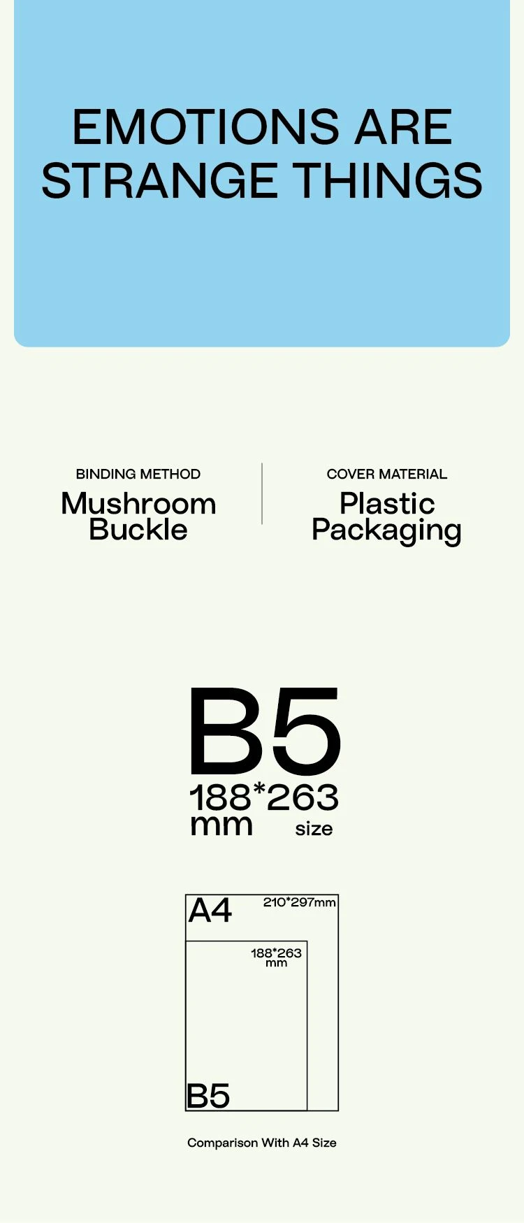 B5 -